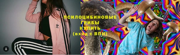 крисы Алзамай