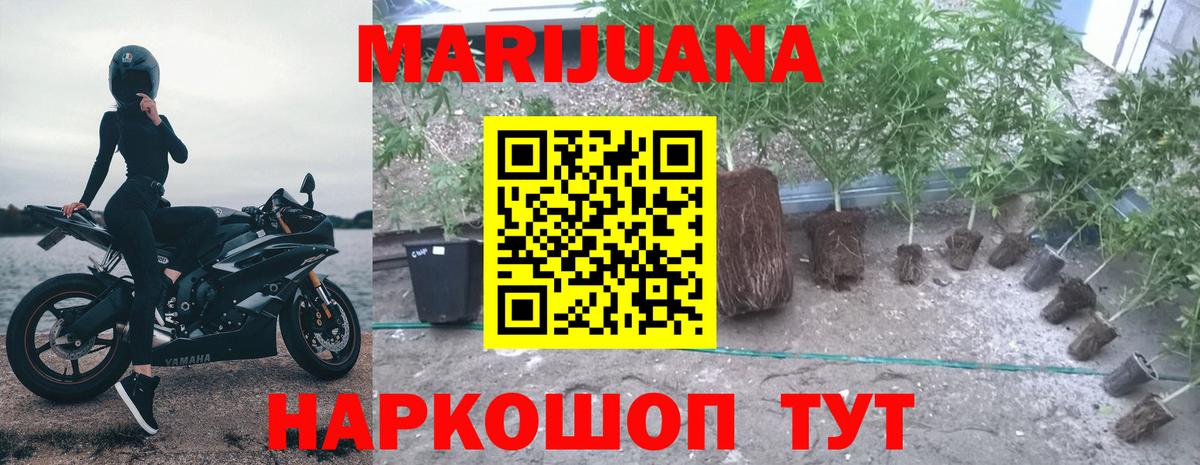 Бошки марихуана LSD WEED Казань
